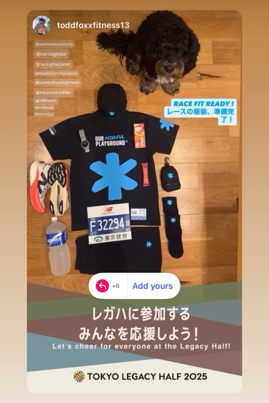 OMP Race Bib Clips (No Pins)